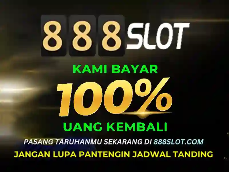 Trải nghiệm người dùng và phản hồi từ cộng đồng