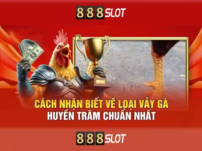 Cách tham gia và các trò chơi phổ biến
