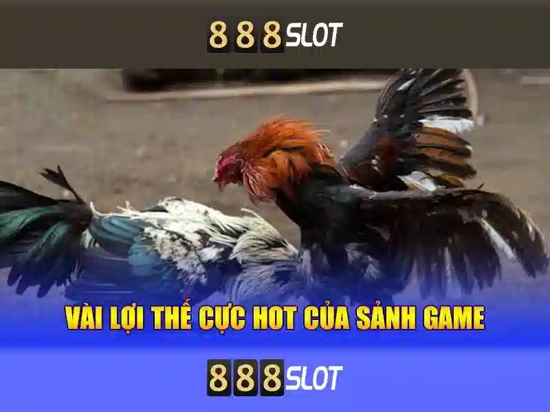 888slot - Nền tảng cá cược trực tuyến hàng đầu