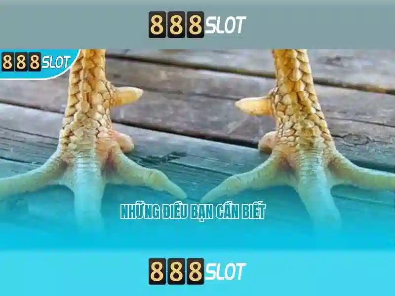 Kết luận và liên hệ