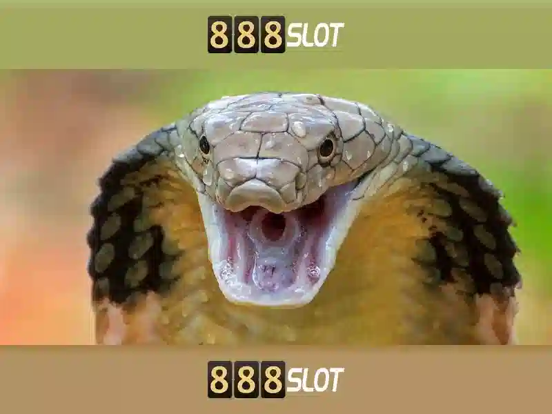 Ưu thế và khả năng cạnh tranh