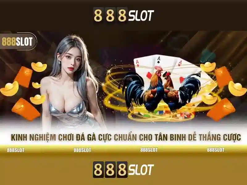 An toàn và thanh toán