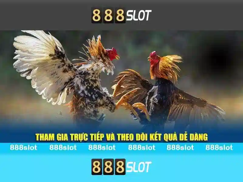 Đôi nét về 888slot