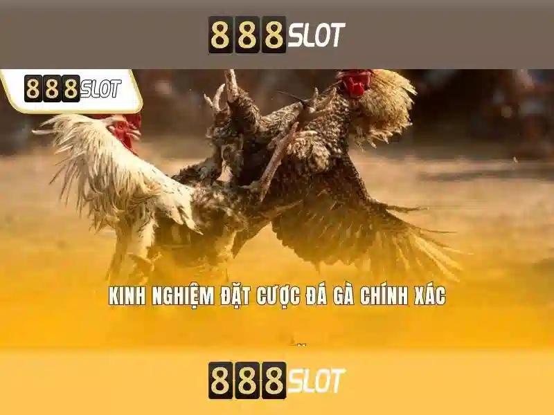 Khuyến mãi và bảo mật