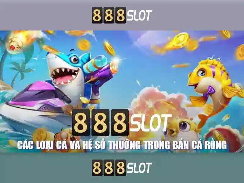 An toàn và chính sách thanh toán