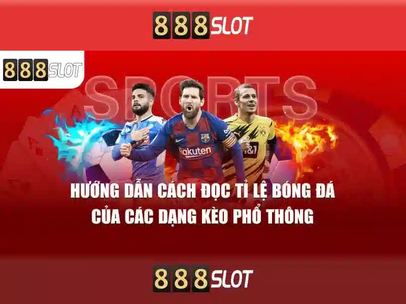 Trải nghiệm người dùng và giao diện