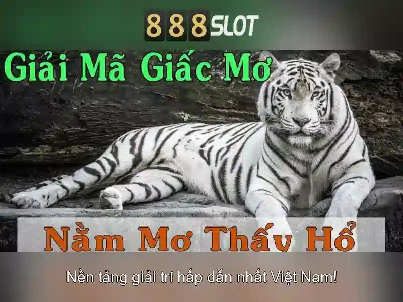 Giao diện và trải nghiệm người dùng