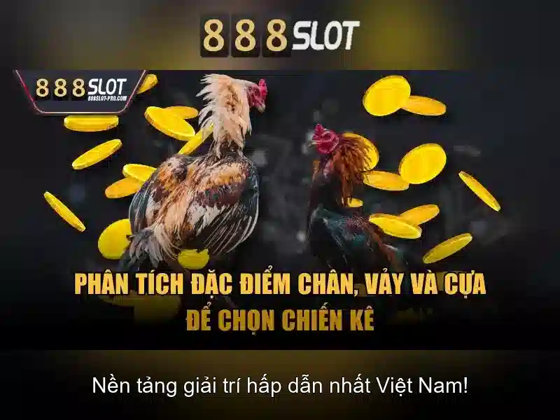 888slot: Nền tảng casino trực tuyến nổi bật