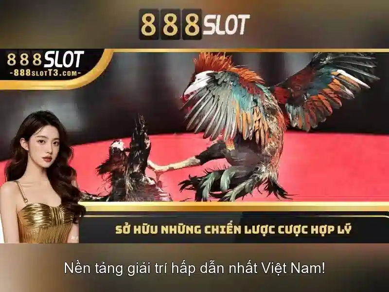 Khuyến mãi và thưởng hấp dẫn