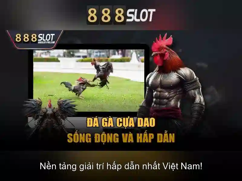 Khuyến mãi và thanh toán