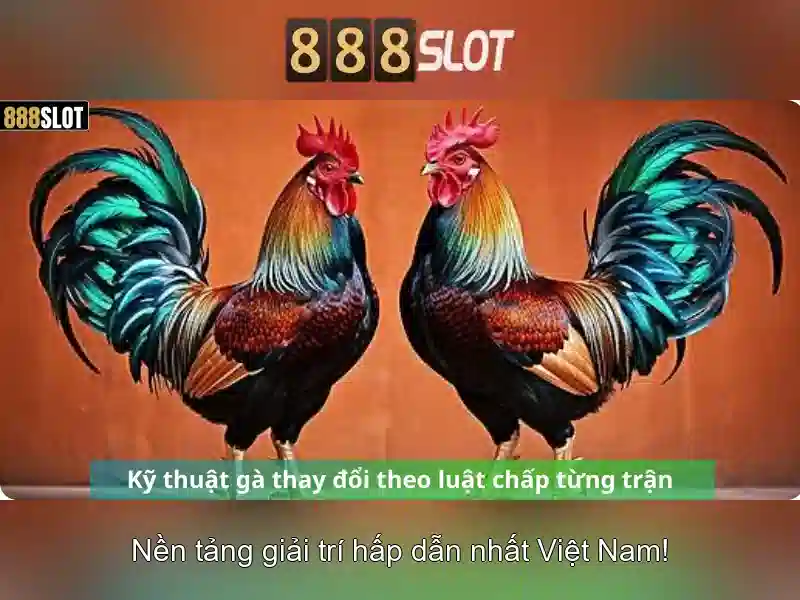 Lời kết và khuyến nghị
