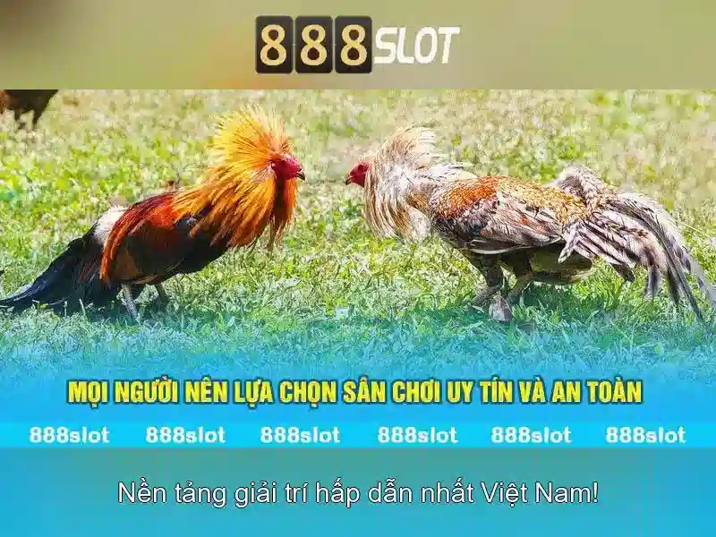 Khuyến mãi và cách nhận thưởng