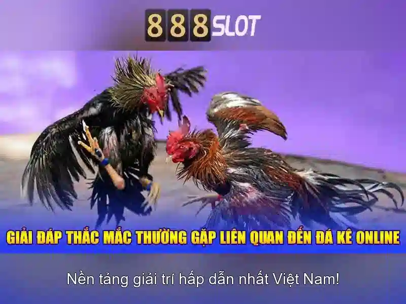 Danh mục trò chơi và tính năng