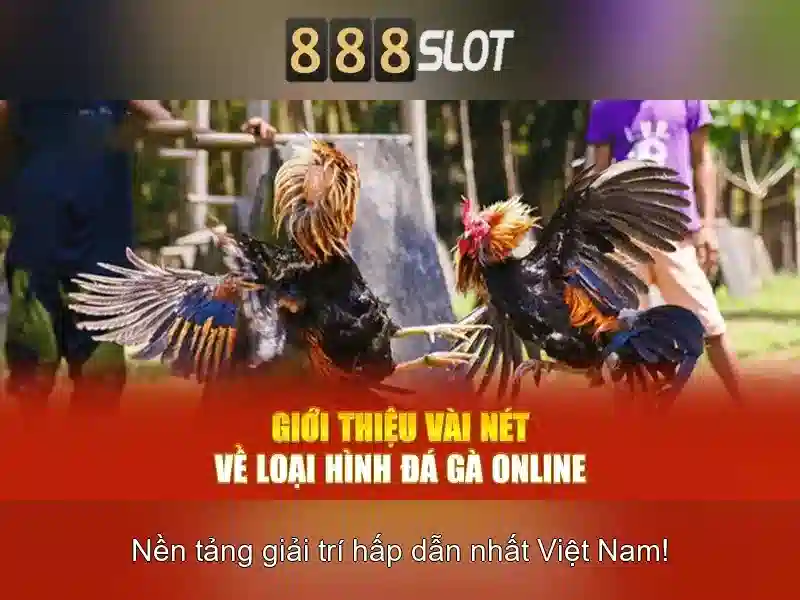 Kết luận và lời mời trải nghiệm