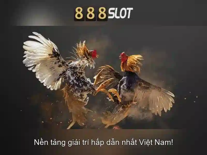 Khuyến mãi và chương trình hoàn tiền