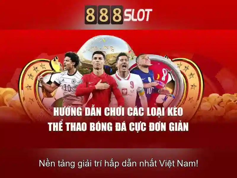 Hỗ trợ và dịch vụ khách hàng