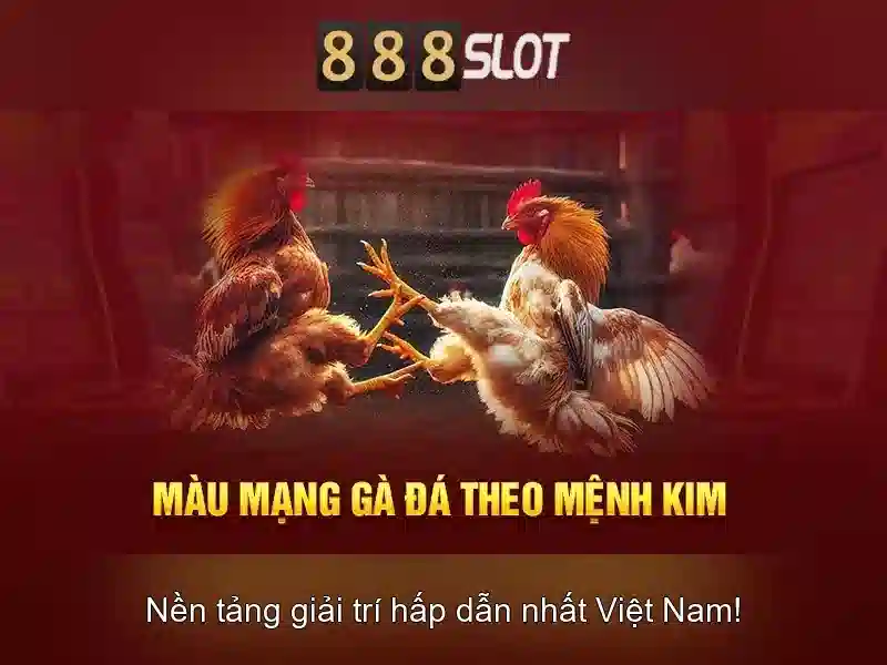 Bảo mật và thanh toán an toàn\n\n