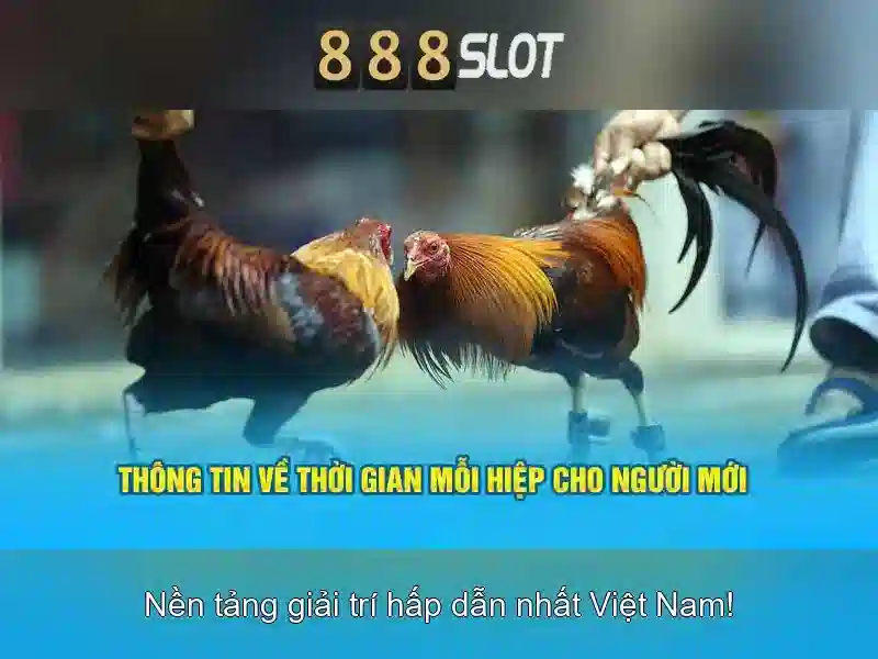 An toàn và thanh toán