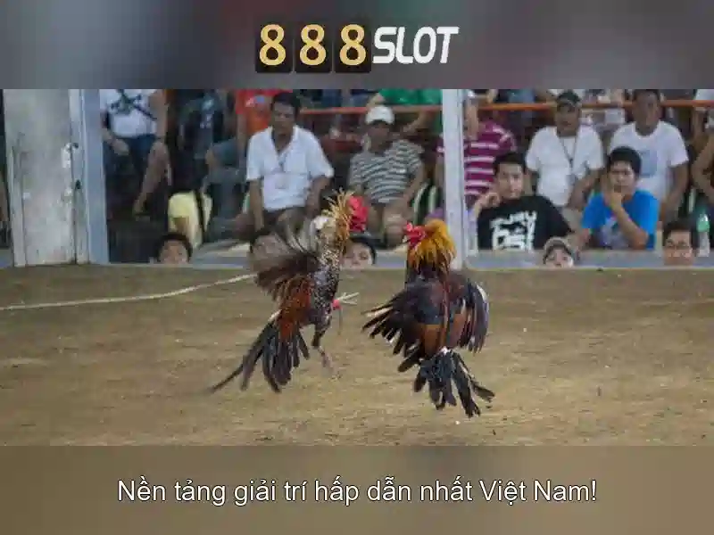 An toàn và bảo mật ở 888slot